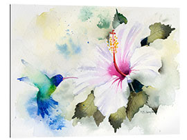 Gallery print Hibiscus and hummingbird