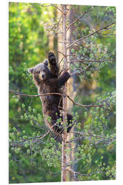 Tableau en PVC Salutations d'un ours