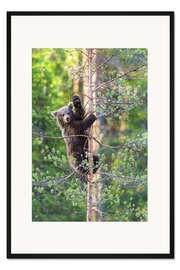 Gerahmter Kunstdruck Bärige Grüße