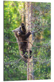 Magnettafel Bärige Grüße