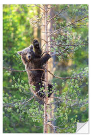 Selvklebende plakat Bearish greetings