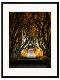 Gerahmter Kunstdruck Mystische Straße im Herbstlicht
