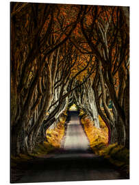 Magnettafel Mystische Straße im Herbstlicht