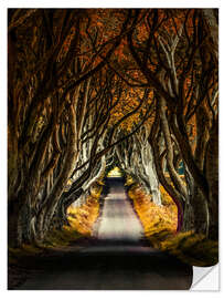 Sticker mural Matin d'automne aux Dark Hedges