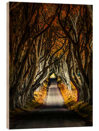 Tableau en bois Matin d&#039;automne aux Dark Hedges