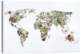 Canvas print Botanical world map