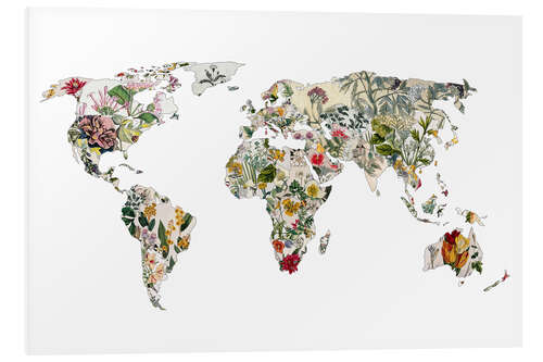 Foam board print Botanical world map