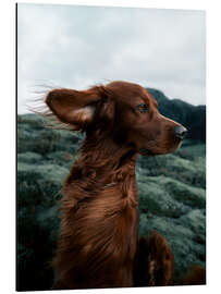 Magnettafel Troja, in sich ruhend