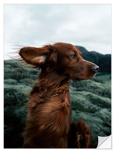 Selvklæbende plakat Tranquil Troja