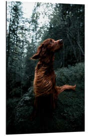 Magnettafel Troja, vor dem Sturm