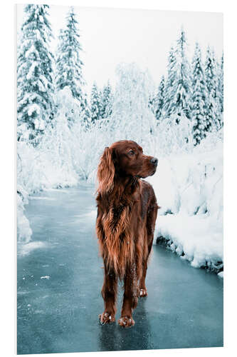 Foam board print Troja in the Frostpine Forest