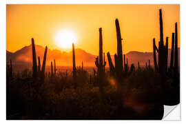 Wandsticker Saguaro-Sonnenuntergang