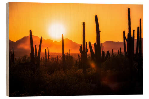 Holzbild Saguaro-Sonnenuntergang