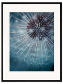 Gerahmter Kunstdruck Pusteblume