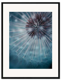 Kehystetty taidepainatus Dandelion