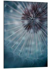 Magnettafel Pusteblume