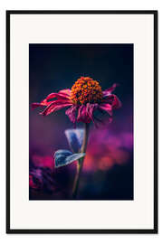 Gerahmter Kunstdruck Vergänglichkeit