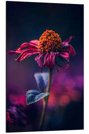 Magnettafel Vergänglichkeit