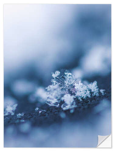 Vinilo para la pared La primera nieve