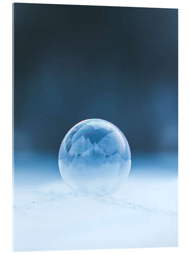 Acrylglas print Frozen soap bubble