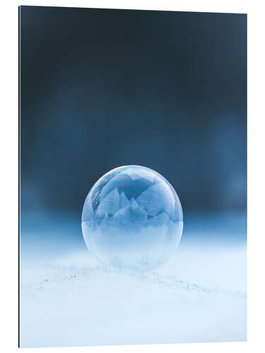 Gallery print Frozen soap bubble