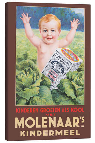 Canvas print Molenaar's kindermeel