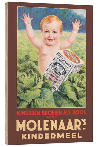 Print på træ Molenaars children's meal (Dutch)