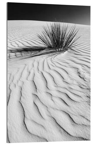 Gallery print Dune with gentle wave drawing