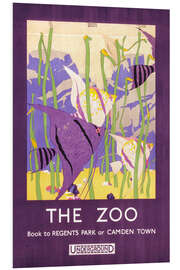 Foam board print The zoo