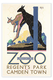 Wall print  Zoo Kangaroos - Gregory Brown