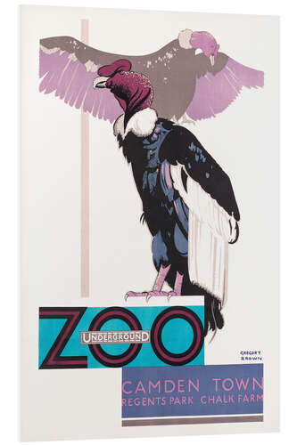 Tableau en PVC Zoo Vautour (anglais)