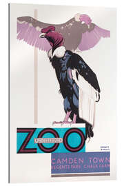 Gallery print Zoo Vulture