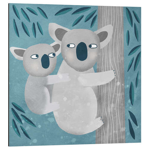 Aluminium print Koalas