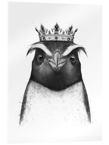 Acrylic print The King Penguin