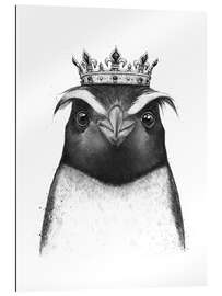 Galleritryk The King Penguin