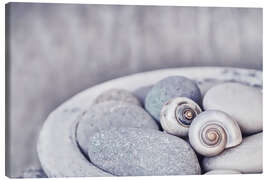 Canvas print Zen - stones and shells