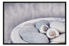 Gerahmter Kunstdruck Zen - Steine und Muscheln