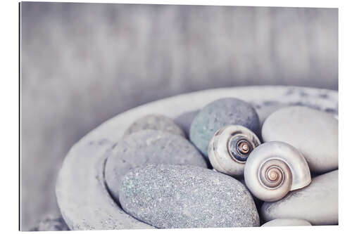 Gallery print Zen - stones and shells