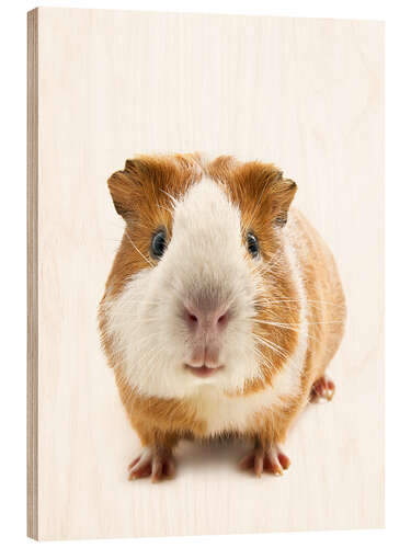 Wood print Dutch guinea pig