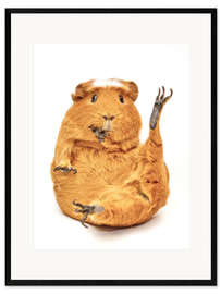 Kehystetty taidepainatus Guinea pig gymnastics