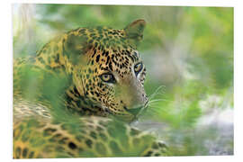 Foam board print Jaguar in the bushes