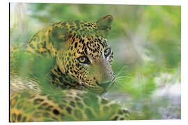 Magnettafel Jaguar im Dickicht