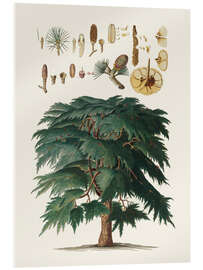 Acrylglas print Vintage pine
