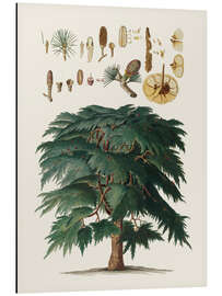 Magnettafel Vintage Kiefer