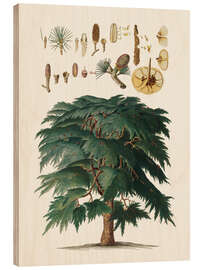 Puutaulu Vintage pine