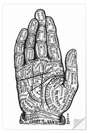 Wall sticker Hand Chart