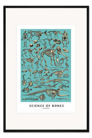 Gerahmter Kunstdruck Osteologie (Englisch)