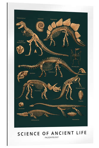 Gallery print Paleontology