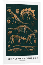 Magnettafel Paläontologie (Englisch)