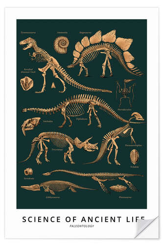 Selvklebende plakat Paleontology